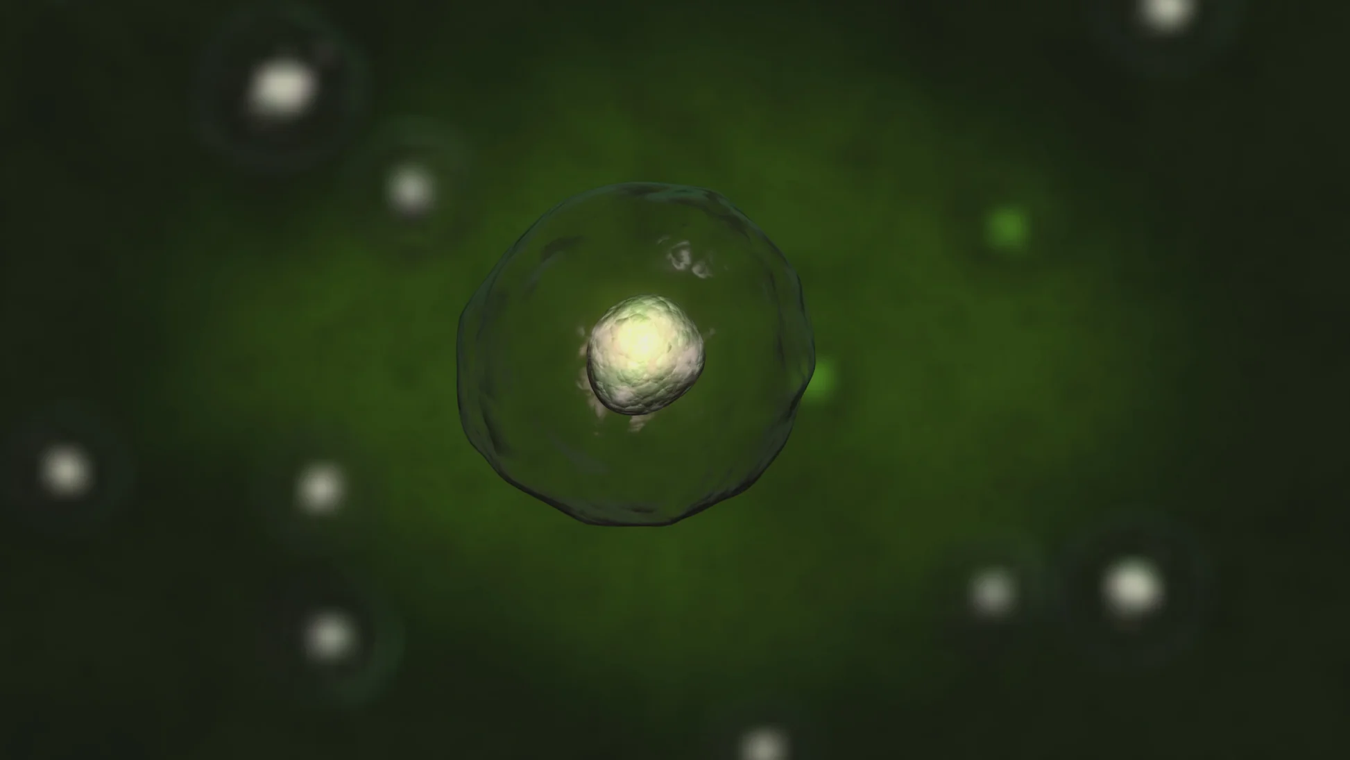 ProLon con base scientifica – Dieta Mima Digiuno basata sulla ricerca